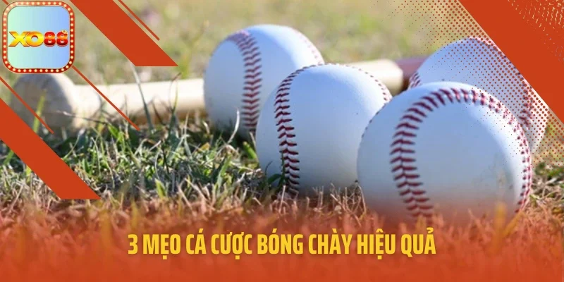 3 mẹo cá cược bóng chày hiệu quả
