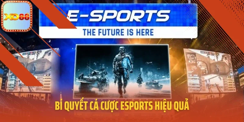 Bí quyết cá cược Esports hiệu quả