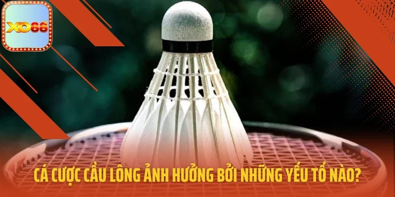 Cá cược cầu lông ảnh hưởng bởi những yếu tố nào?