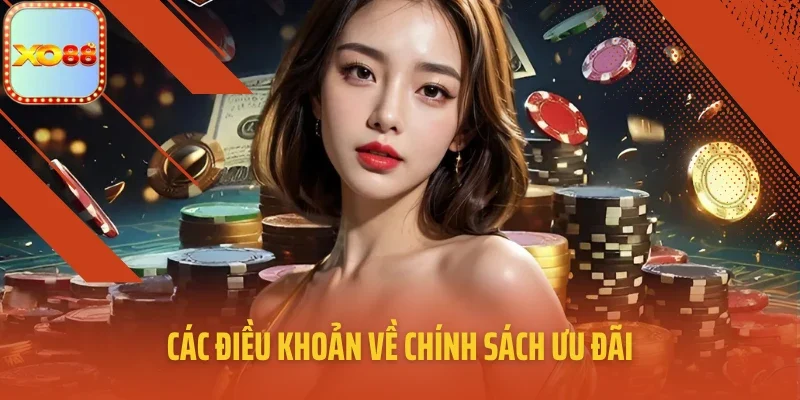 Các điều khoản về chính sách ưu đãi