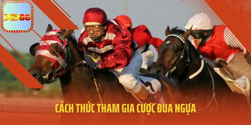 Cách thức tham gia cược đua ngựa