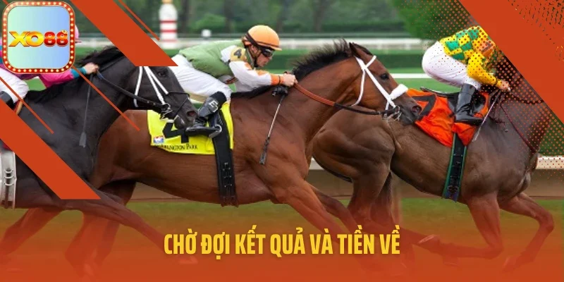 Chờ đợi kết quả và tiền về