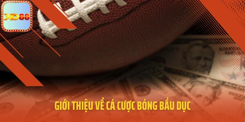 Giới thiệu về cá cược bóng bầu dục