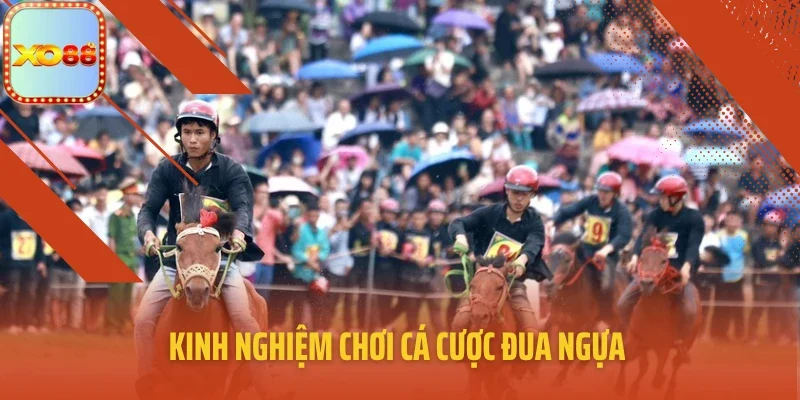 Kinh nghiệm chơi cá cược đua ngựa