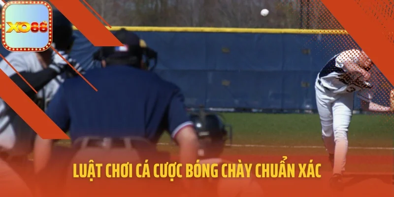 Luật chơi cá cược bóng chày chuẩn xác