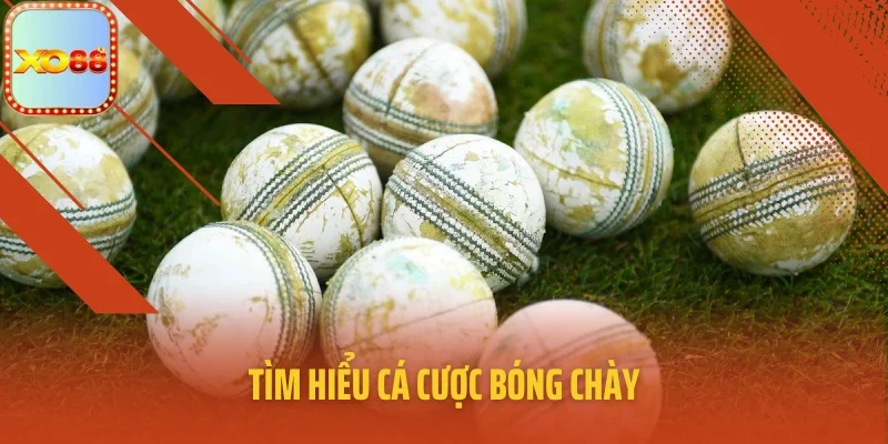 Tìm hiểu cá cược bóng chày