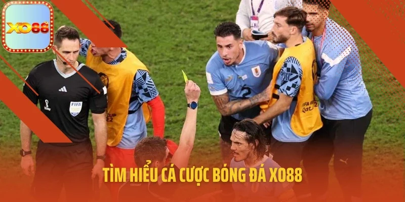 Tìm hiểu cá cược bóng đá XO88