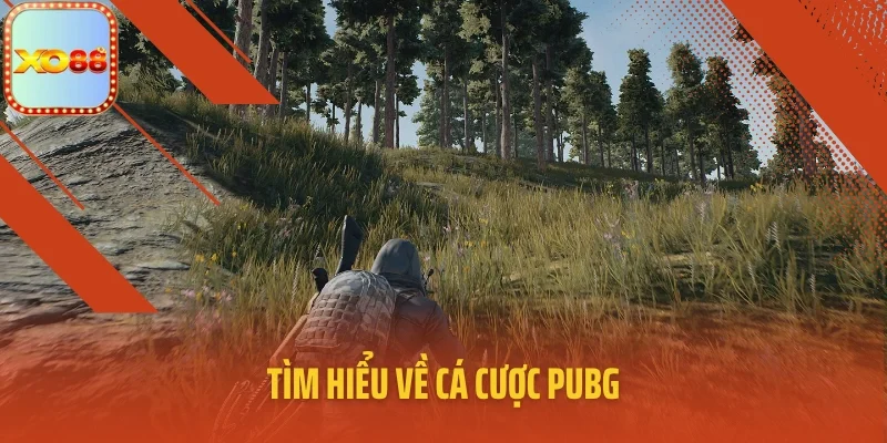 Tìm hiểu về cá cược PUBG