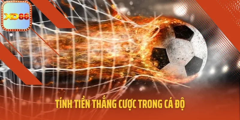 Tính tiền thắng cược trong cá độ